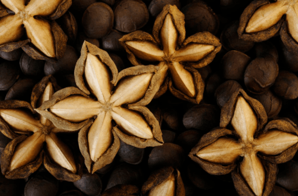 A picture of dried ripened Sacha Inchi seeds
