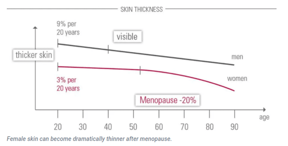 Male and Female Skin Thickness Over Time