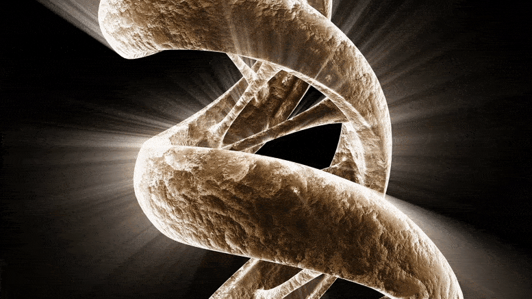 DNA Spiral