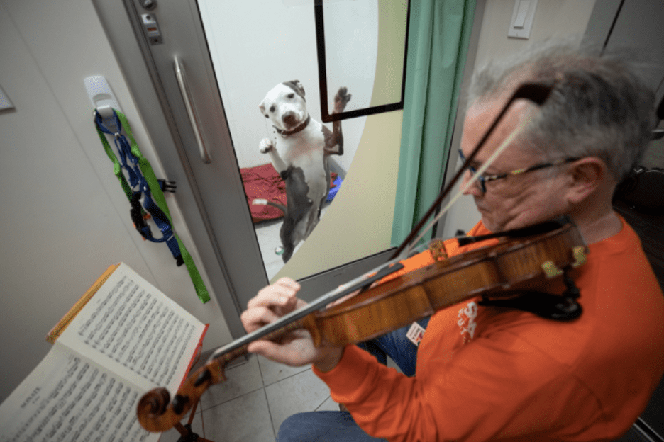 Martin Agee plays his violin at an animal shelter