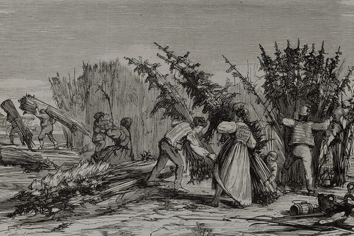Cannabis cultivation in early America