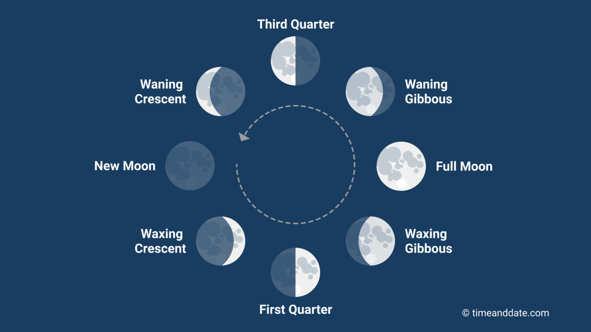 All About The Moon Cycle Humanist Beauty